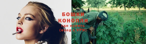 прущий лед Абаза