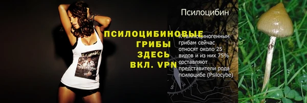 прущий лед Абаза