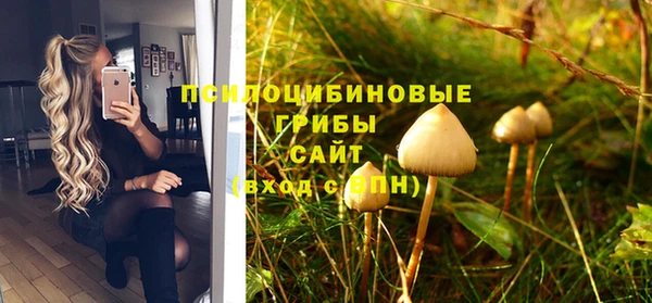 прущий лед Абаза