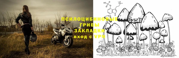 прущий лед Абаза